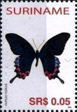 Luzon Peacock Swallowtail (Papilio chikae)