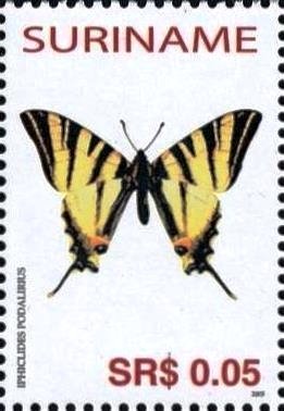 Scarce Swallowtail (Iphiclides podalirius)