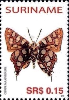 Lycaenid Butterfly (Parpahnaeus)