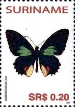Emerald-patched Cattleheart (Parides sesostris)
