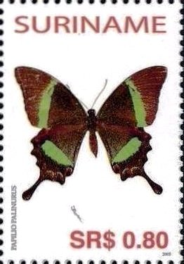 Emerald Peacock (Papilio palinurus)
