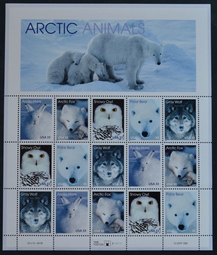 Arctic Animals M/S