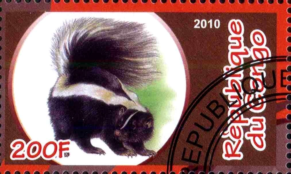 Fauna
