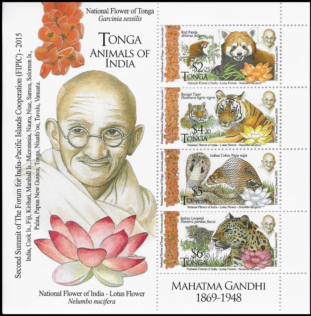 Indian animals