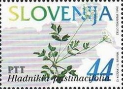 Flowers of Slovenia