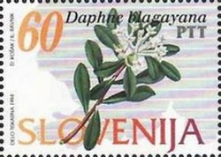 Flowers of Slovenia