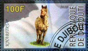 Stamp, Knabstrup, Cinderellas,  , Horses