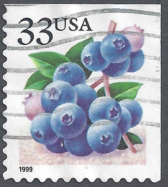 Fruit Berries: Blueberries