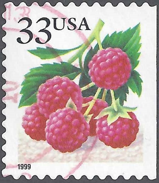 Fruit Berries: Raspberries