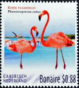 Stamp, Pink flamingo, Caribbean Netherlands,  , Animals (Fauna), Birds, Flamingos