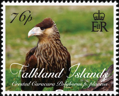 Crested caracara