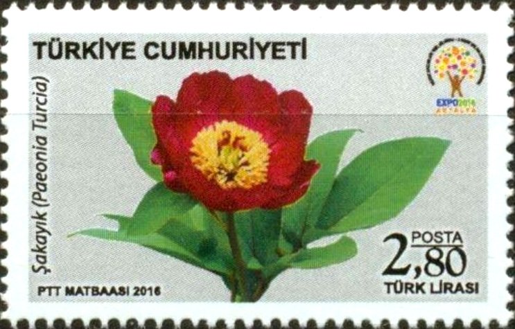 Horticultural EXPO 2016