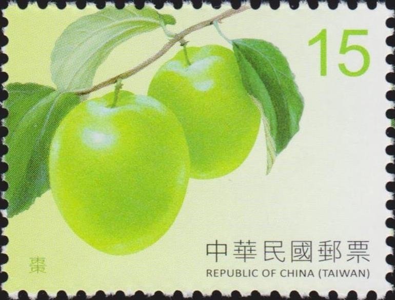 Chinese date (Ziziphus jujuba)