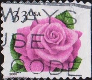 Stamp, Coral Pink Rose, United States of America,  , Flowers, Roses