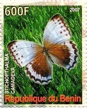 Stamp, Stichopthalma camadeva, Cinderellas,  , Butterflies, Insects