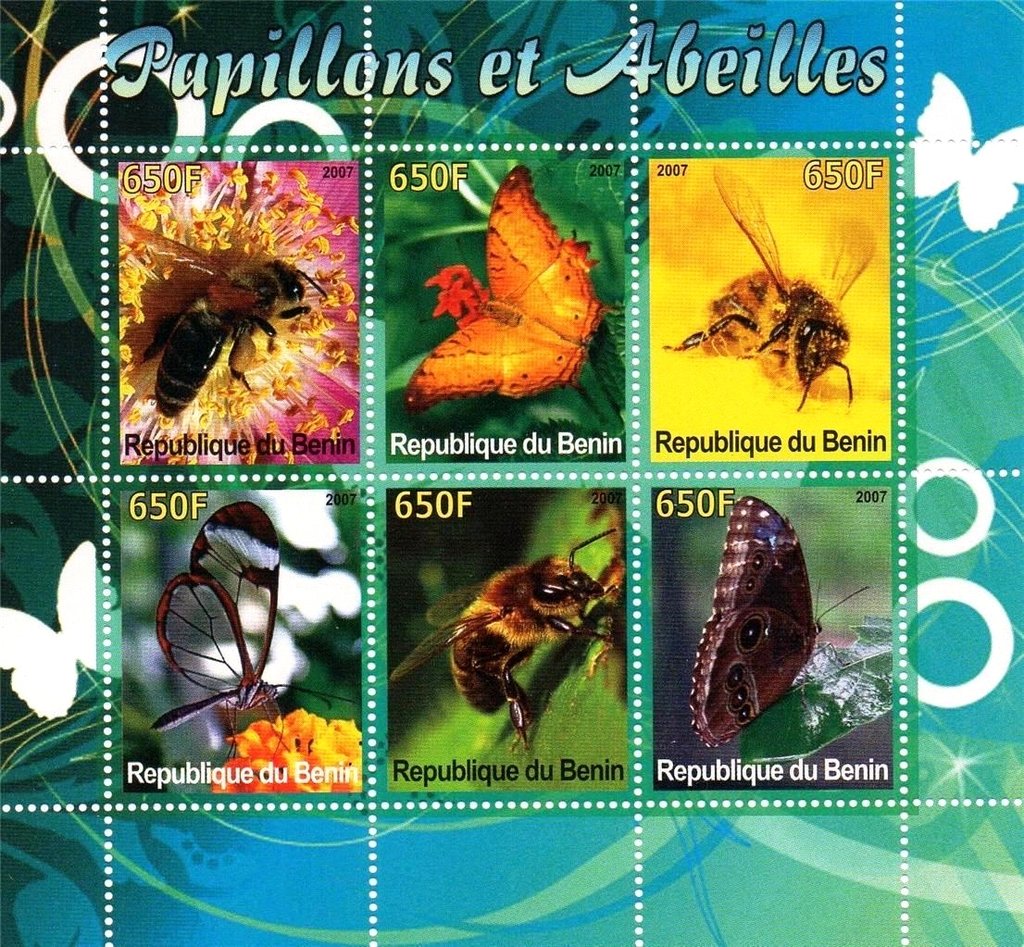 Butterflies and bees