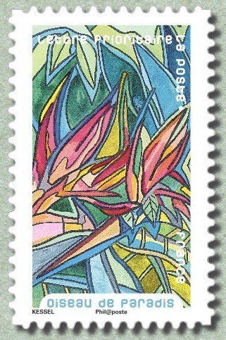 Bird of paradise