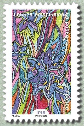 Iris