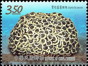 Stamp, Euphyllia ancora, Taiwan (Republic of China),  , Animals (Fauna), Corals and Sponges, Sea Life
