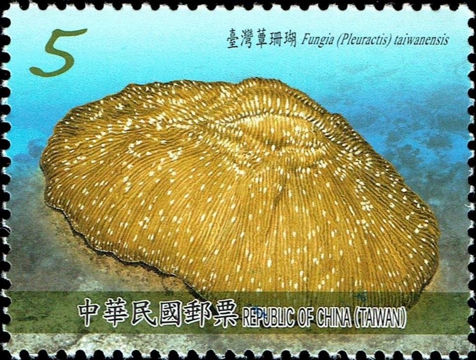 Fungia (Pleuractis) taiwanensis