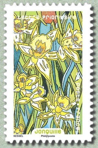 Daffodil