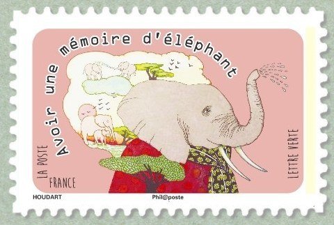 Have an elephant's memory