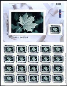 Mini Sheet, Silver Ribbon Frame, Canada,  , Leaves, Plants (Flora)
