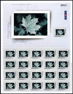 Mini Sheet, Photo Album Frame, Canada,  , Leaves, Plants (Flora)