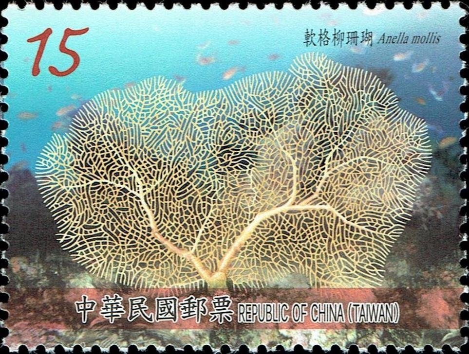 Anella mollis