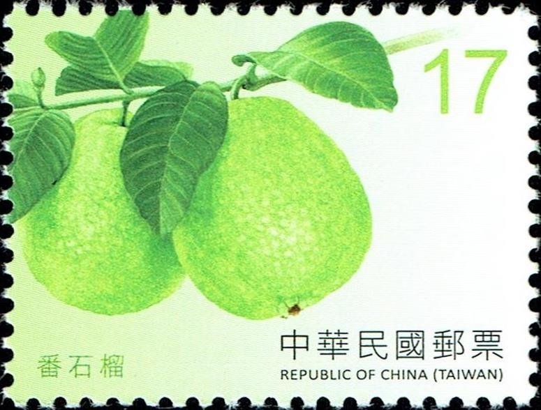 Guava