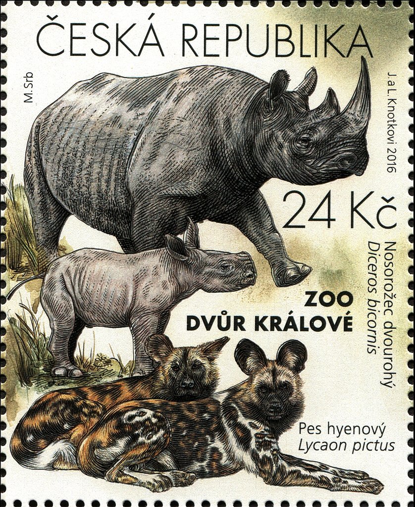 Black Rhinoceros (Diceros bicornis), African Wild Dog (Lycao