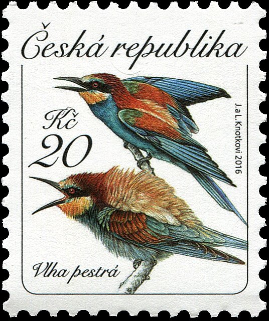 The European bee-eater (Merops apiaster)