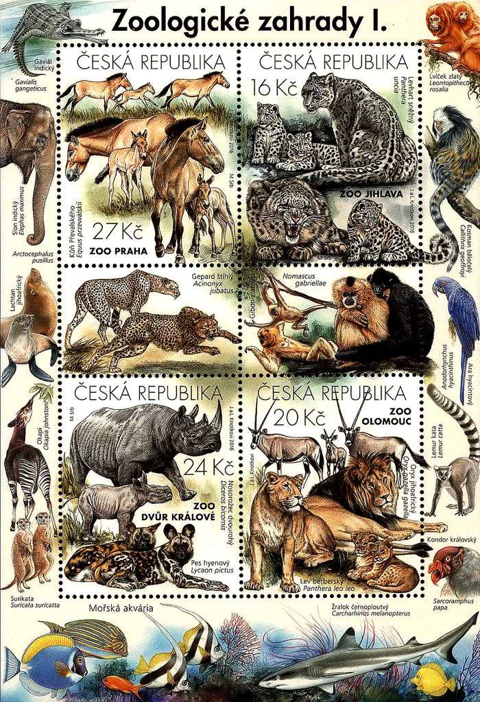 Wild Animals