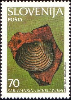 Stamp, Fossils - Karavankina schellwieni , Slovenia,  , Shells, Fossils