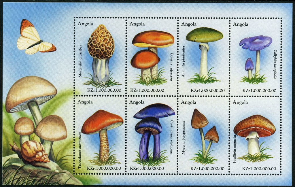 Mushrooms