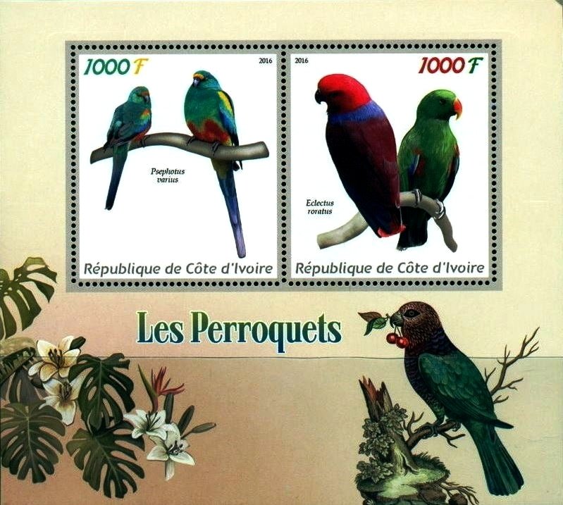 Parrots