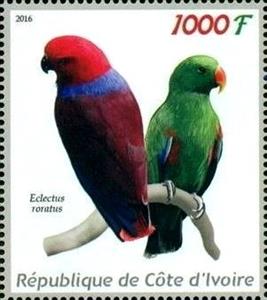 Stamp, Eclectus roratus, Cinderellas,  , Birds, Parrots