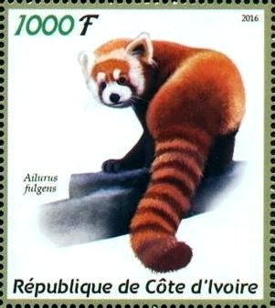 Pandas
