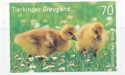 Stamp, Greylag goose (Anser anser), Germany, Federal Republic,  , Animals (Fauna), Birds