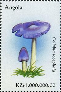 Stamp, Collybia iocephala., Angola,  , Mushrooms