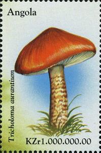 Stamp, Tricholoma aurantium., Angola,  , Mushrooms
