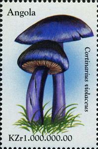 Stamp, Cortinarius violaceus., Angola,  , Mushrooms