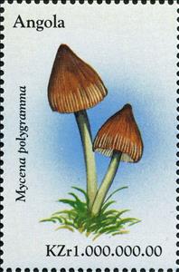 Stamp, Mycena polygramma., Angola,  , Mushrooms
