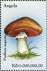 Stamp, Psalliota augusta., Angola,  , Mushrooms
