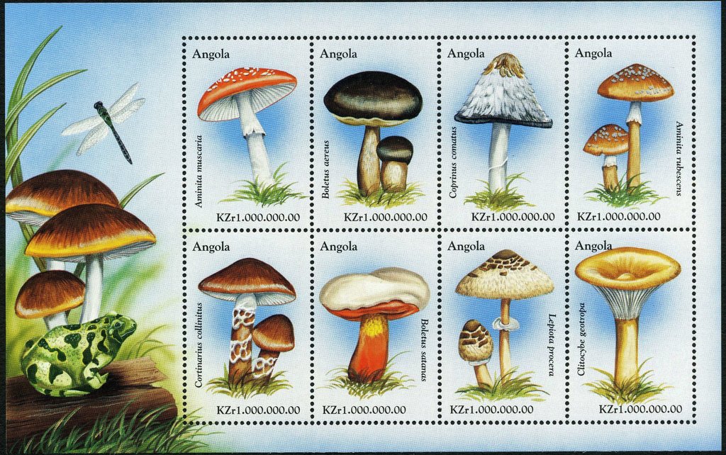 Mushrooms
