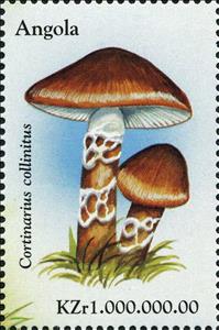 Stamp, Cortinarius collinitus., Angola,  , Mushrooms