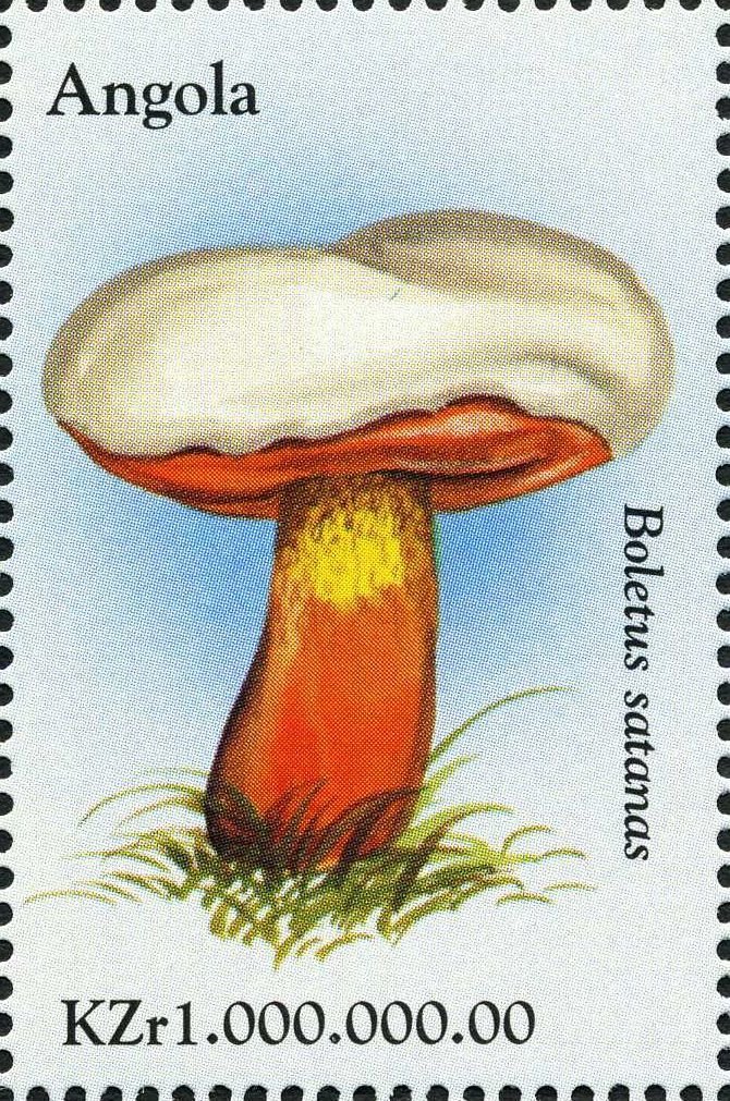 Boletus satanas.