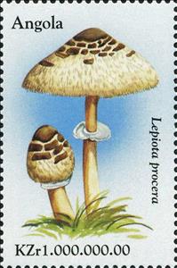 Stamp, Lepiota procera., Angola,  , Mushrooms