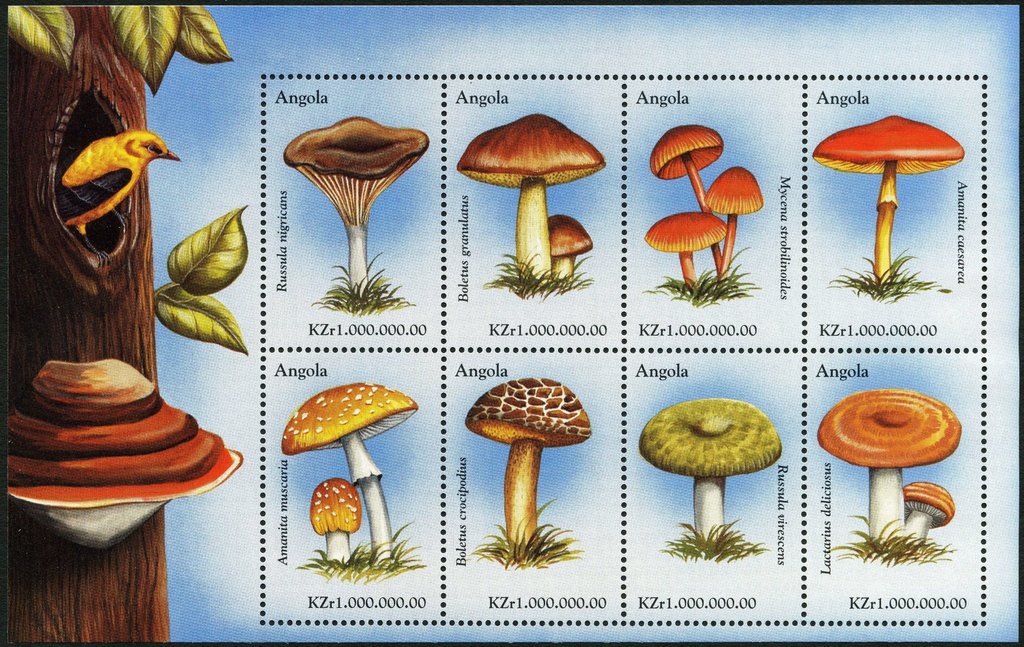 Mushrooms
