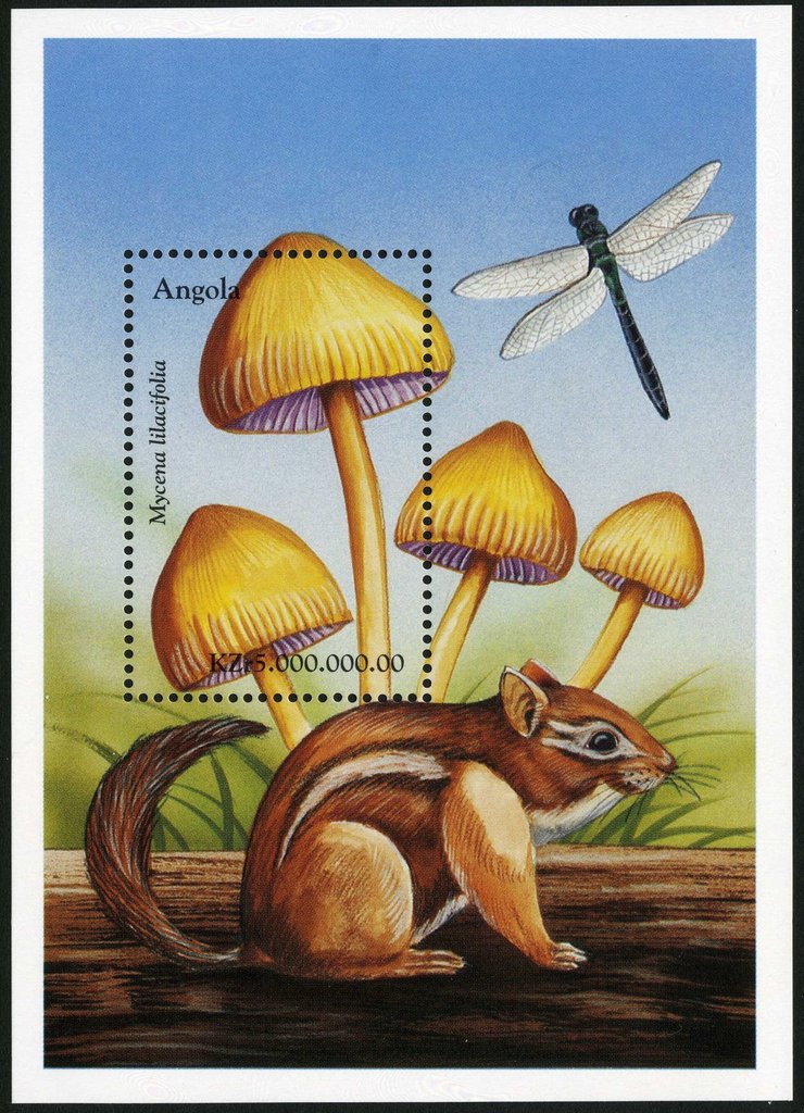 Psalliota haemorrhoidaria.